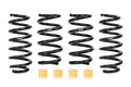 Eibach 2026 Tesla Model Y RWD Juniper Pro-Kit
